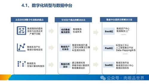 xx集團(tuán)數(shù)據(jù)治理體系建設(shè)方案 